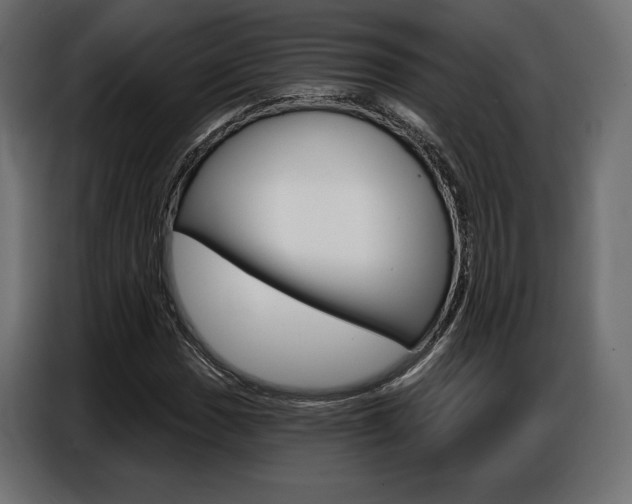 X0000086801017200704130856
