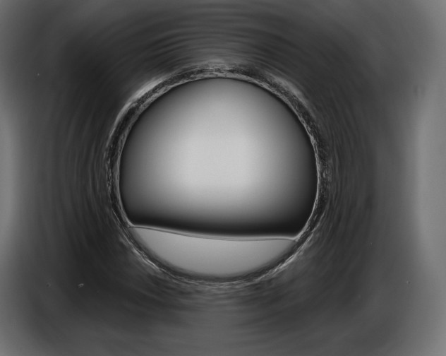 X0000086801018200704130856