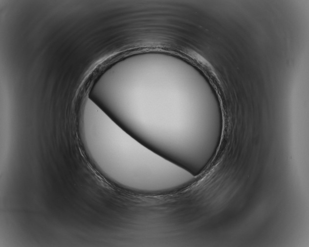 X0000086801019200704130856