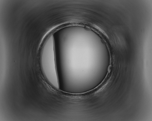 X0000086801021200704130856