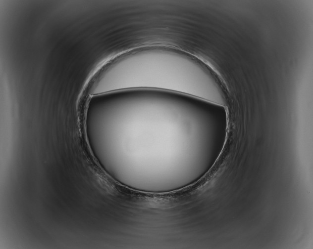 X0000086801022200704130856