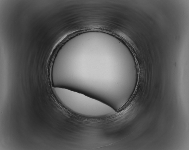 X0000086801023200704130856