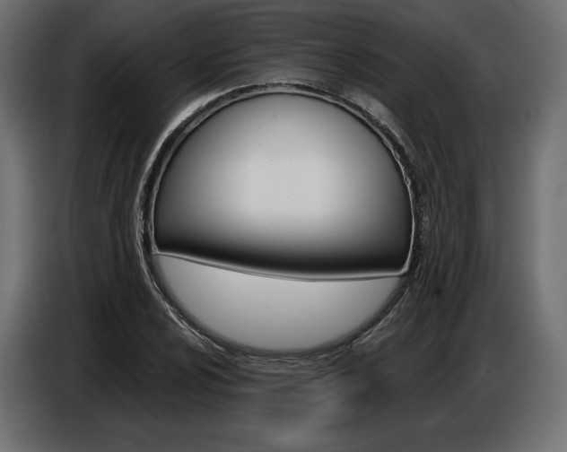 X0000086801024200704130856