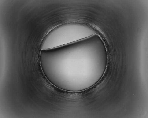 X0000086801025200704130856