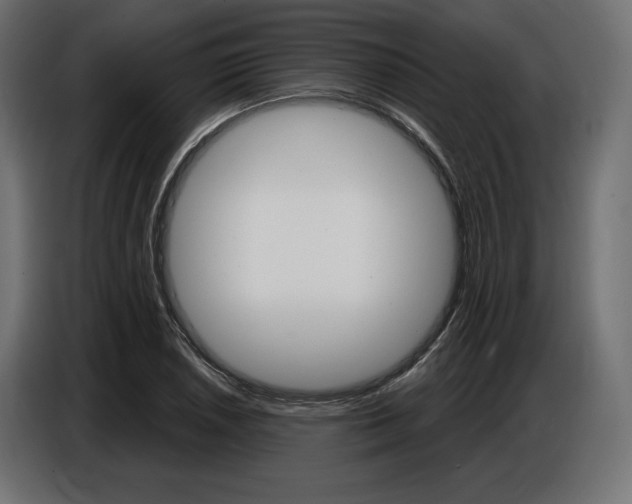 X0000086801026200704130856