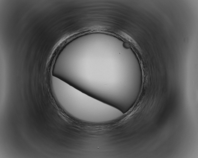 X0000086801027200704130856