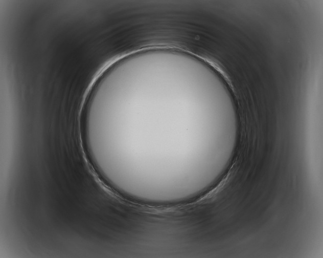 X0000086801030200704130856