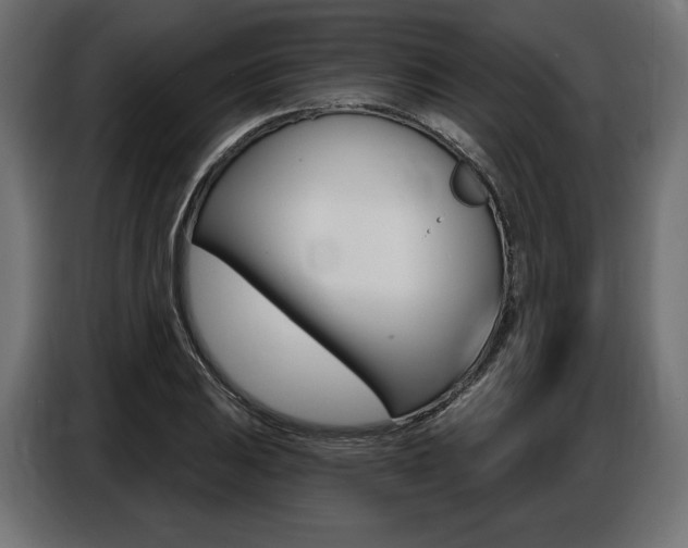 X0000086801031200704130856