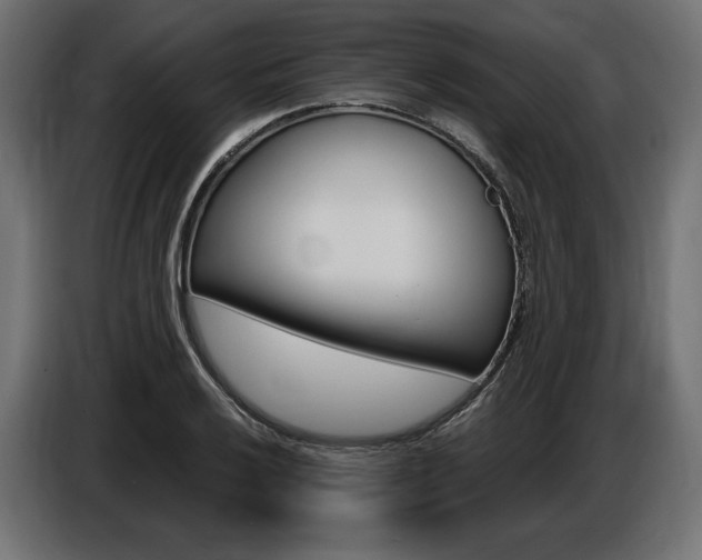 X0000086801032200704130856