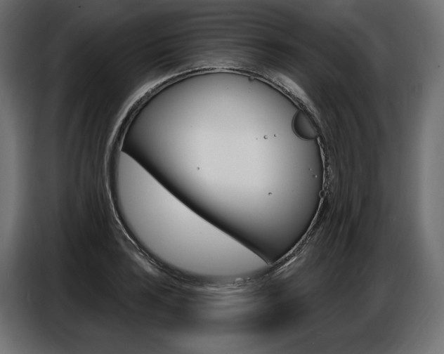 X0000086801035200704130856