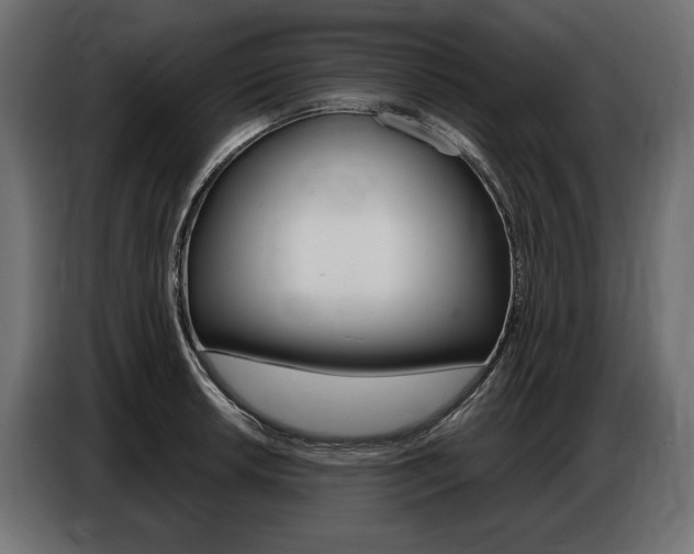 X0000086801042200704130856