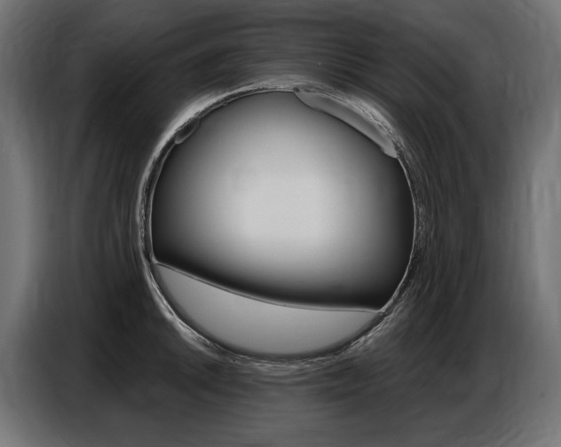 X0000086801046200704130856
