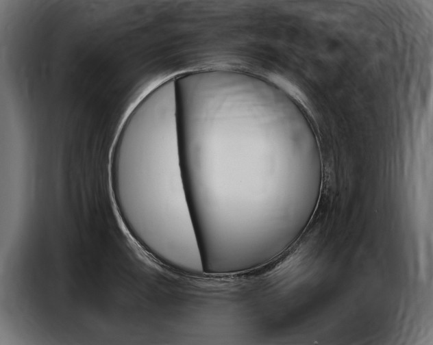 X0000086801047200704130856