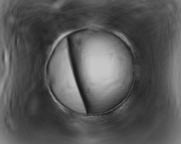 X0000086801048200704130856