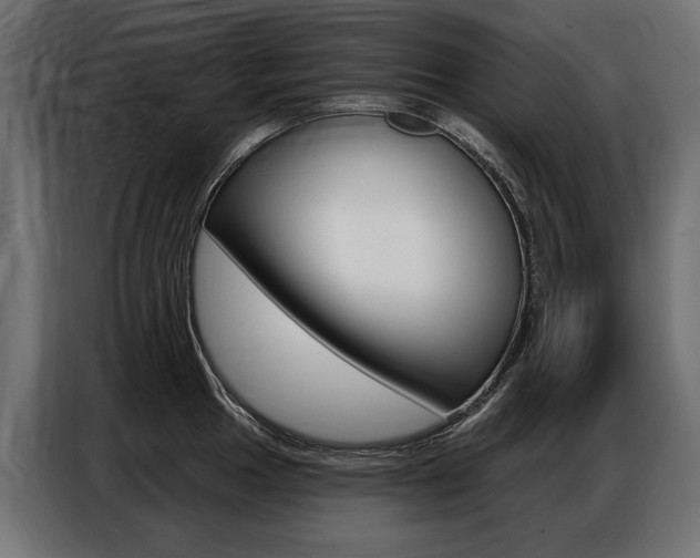 X0000086801049200704130856