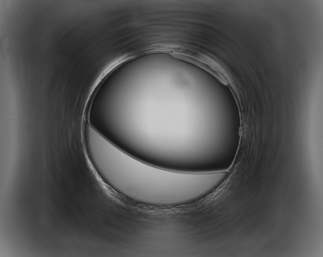 X0000086801050200704130856
