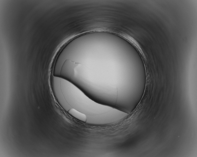 X0000086801051200704130856