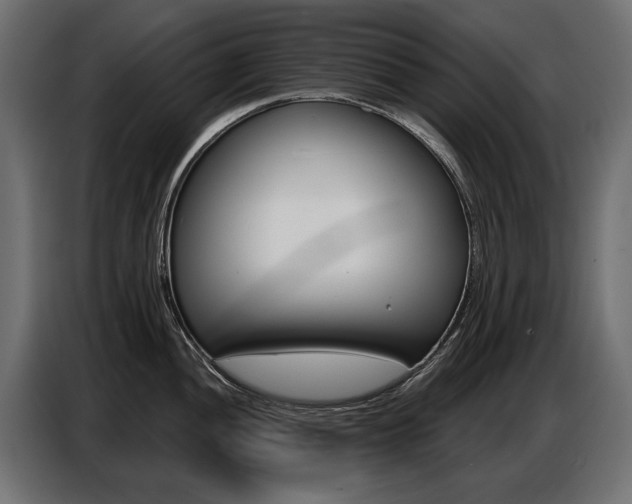 X0000086801052200704130856