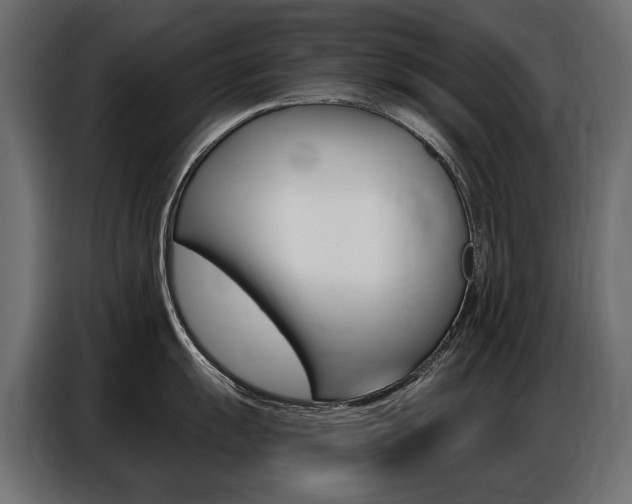 X0000086801055200704130856