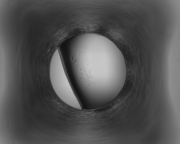 X0000086801058200704130856