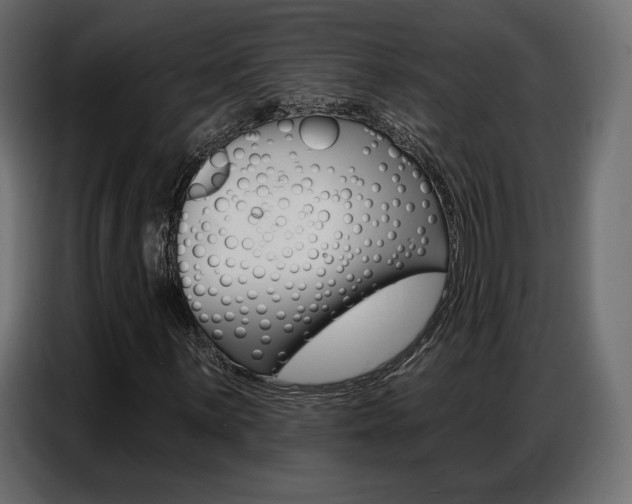 X0000086801059200704130856