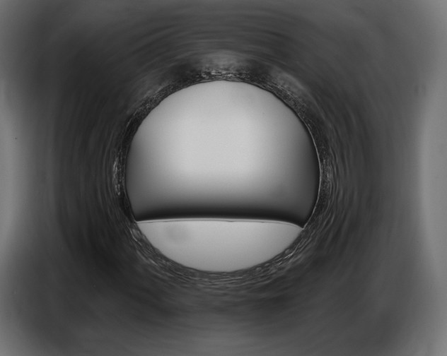 X0000086801060200704130855