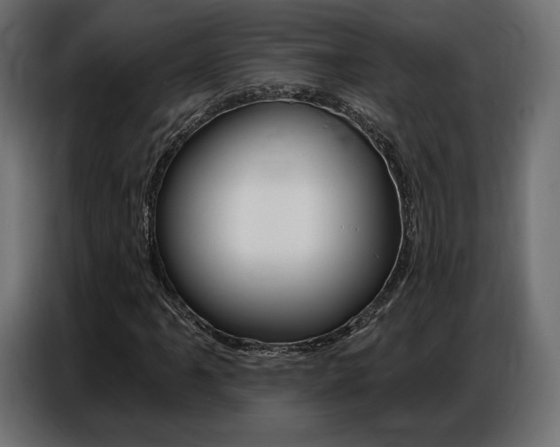 X0000086801061200704130855