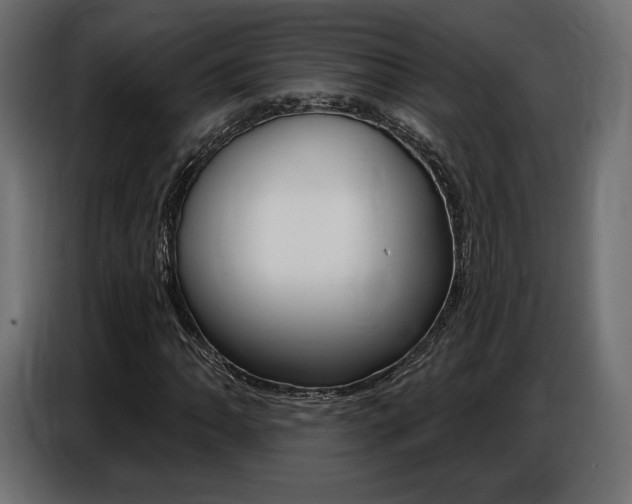 X0000086801062200704130855