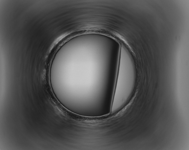 X0000086801066200704130855