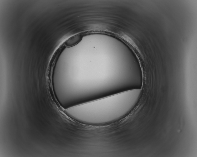 X0000086801068200704130855