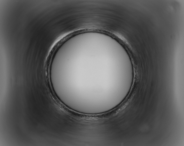 X0000086801070200704130855
