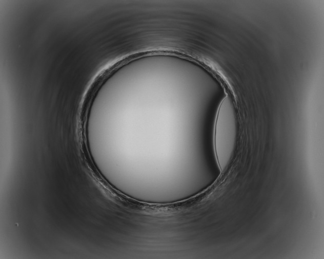 X0000086801072200704130855