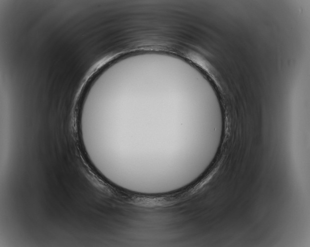 X0000086801074200704130855
