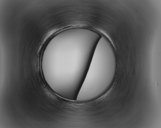 X0000086801075200704130855