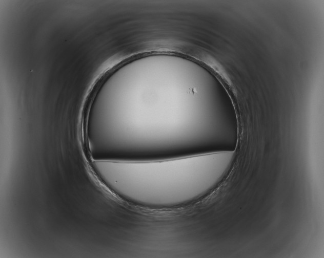 X0000086801080200704130855