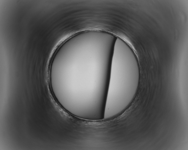 X0000086801088200704130855