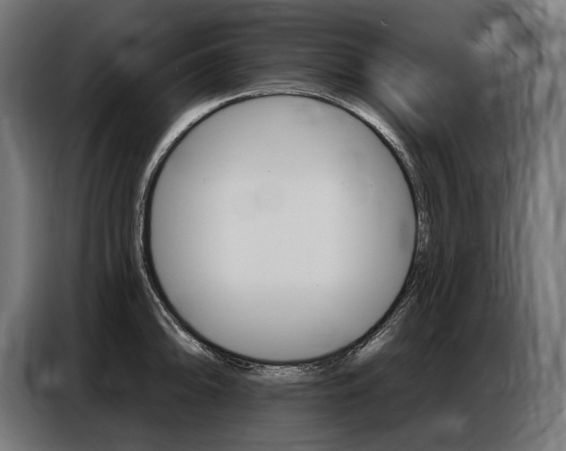 X0000086801094200704130855