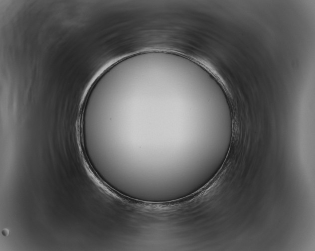 X0000086801100200704130855