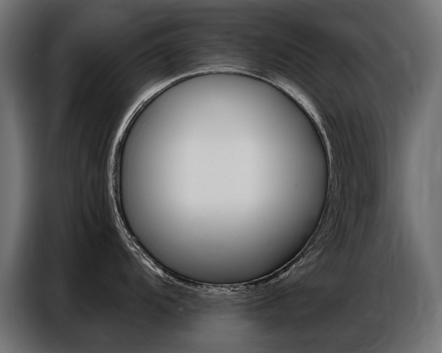 X0000086801104200704130855