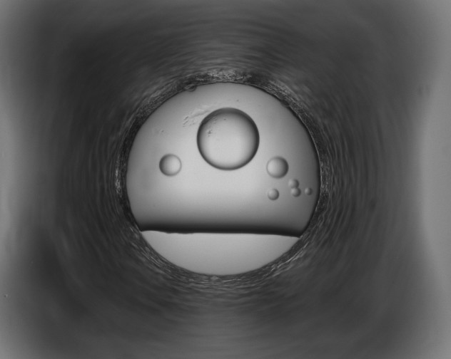 X0000086801106200704130854
