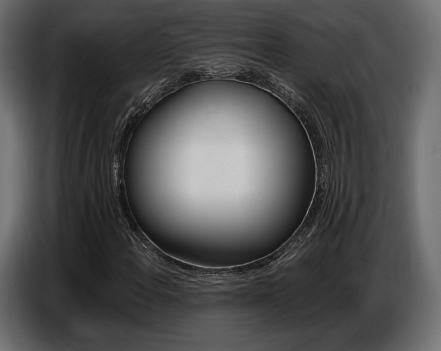 X0000086801108200704130854
