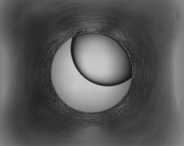 X0000086801109200704130854
