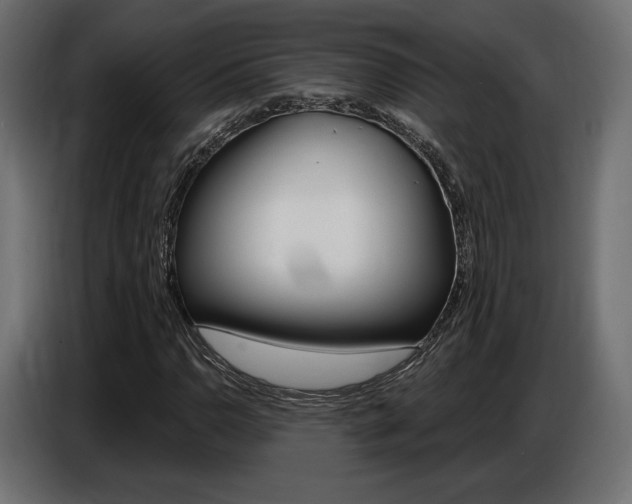 X0000086801110200704130854