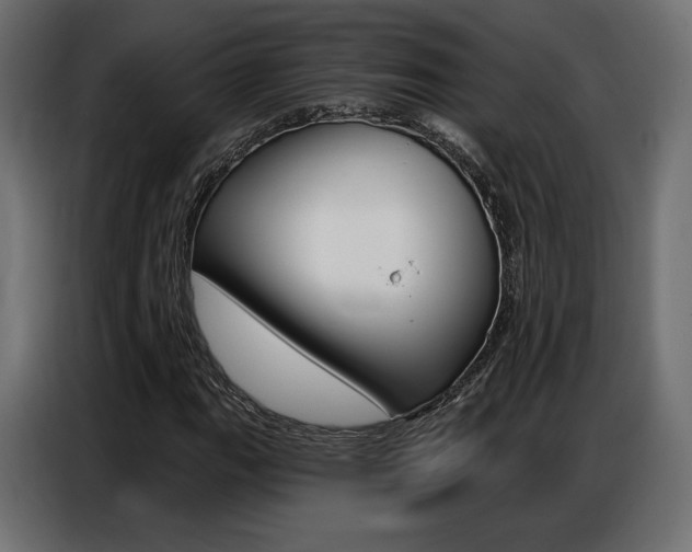 X0000086801111200704130854
