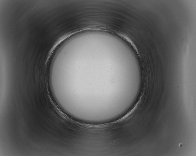 X0000086801114200704130854