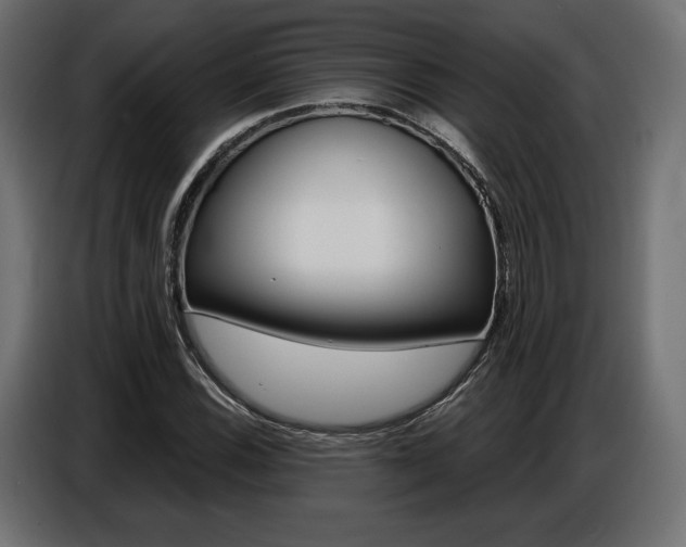 X0000086801116200704130854