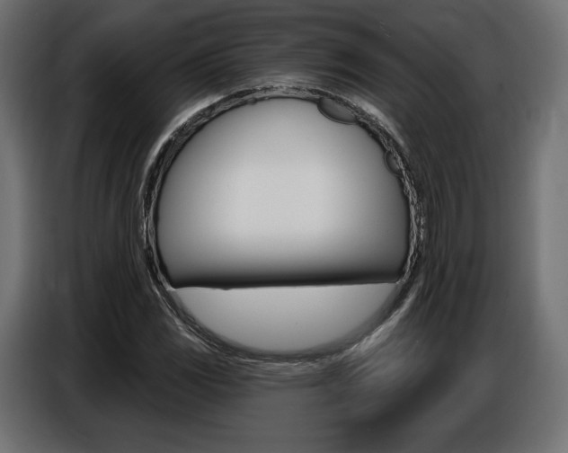 X0000086801117200704130854