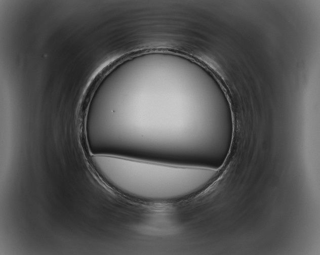 X0000086801119200704130854