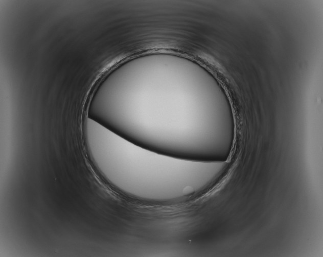 X0000086801121200704130854