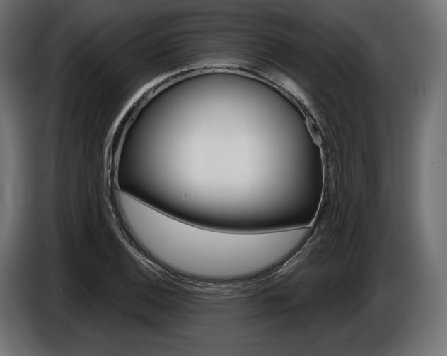 X0000086801124200704130854